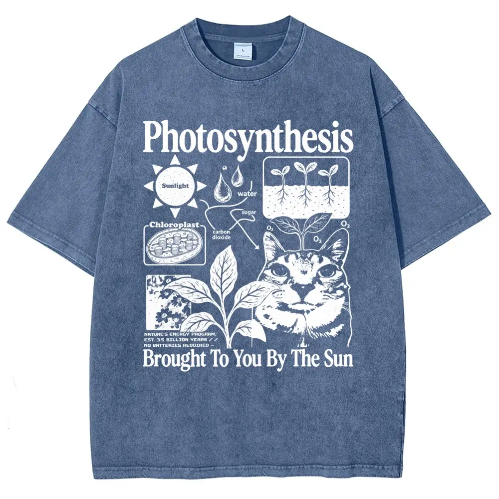 Photosynthesis Cat and Botanical Science Graphic Washed Tee